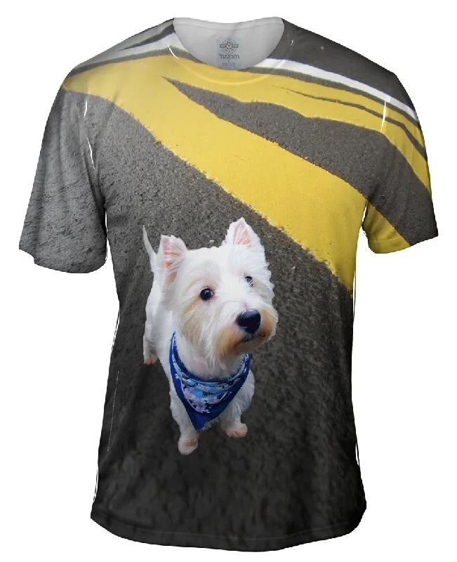 Asphalt Kicking Westie