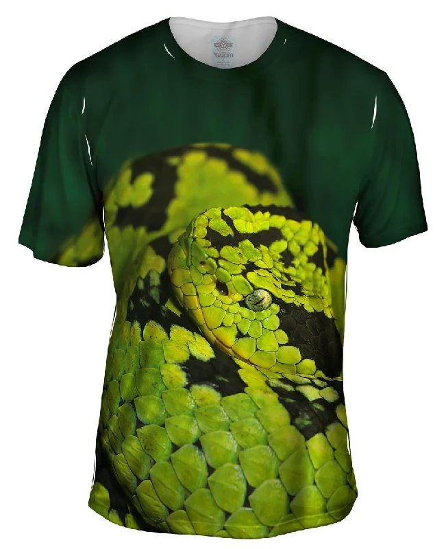 Snake 001