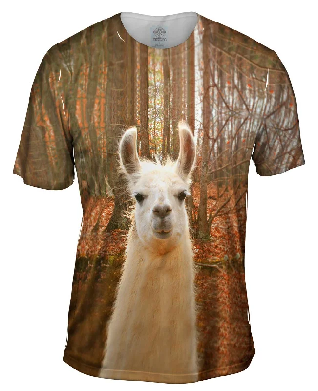 Whats Your Llama